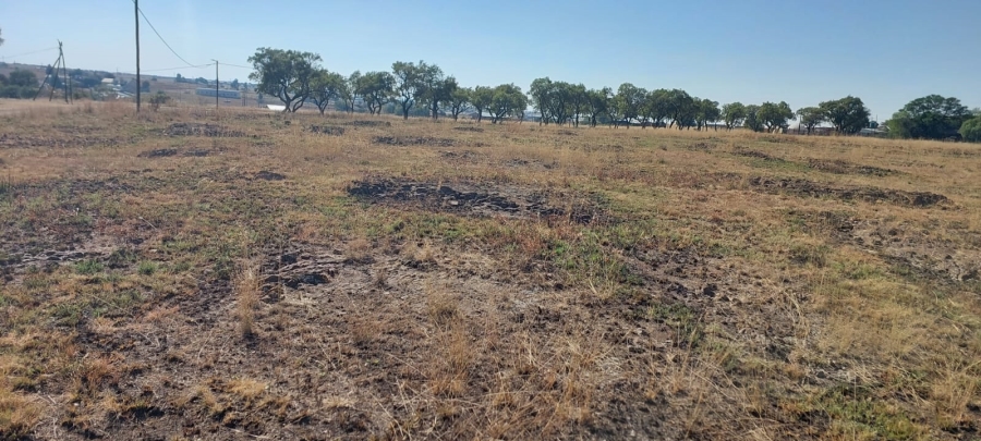 0 Bedroom Property for Sale in Metsimaholo Free State